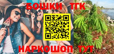 индика Обь