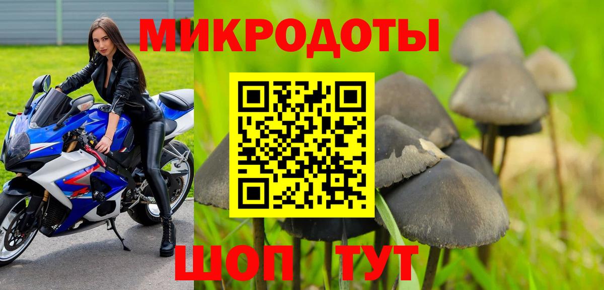 Ржев  Псилоцибиновые грибы MAGIC MUSHROOMS  Вход с VPN 